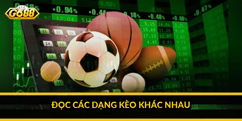 Cách xem tỷ lệ kèo nhà cái: đọc con số để hiểu xác suất Đọc các dạng kèo khác nhau