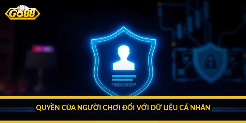 Quyền của người chơi đối với dữ liệu cá nhân