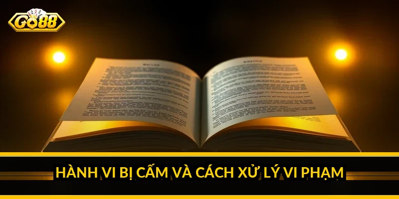 Điều khoản điều kiện Go88 - toàn bộ quy định người chơi cần nắm Hành vi bị cấm và cách xử lý vi phạm